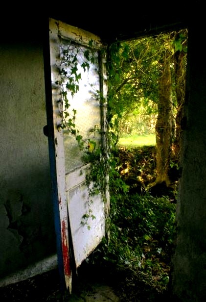 A Door to the Past, Fahan, Ireland