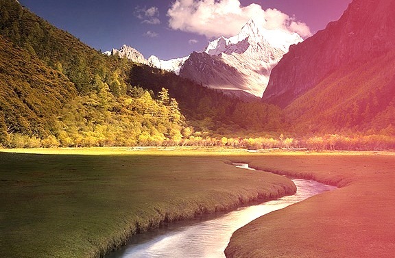 by AndersonImages on Flickr.A beautiful cold stream running through the meadows of Tibetan Himalayas.