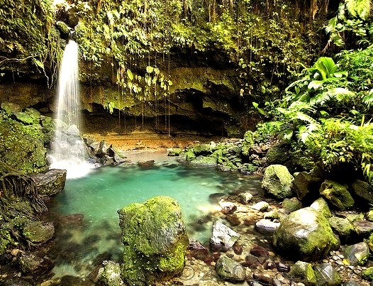 Emerald Pools, within the Morne Trois Pitons National Park, Dominica