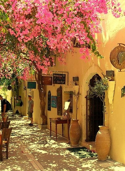 Blossoms,  Rethymno, Greece