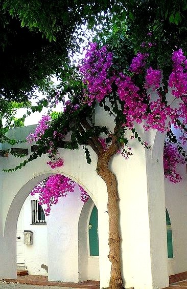 Mediterranean charm in Torremolinos, Andalusia, Spain