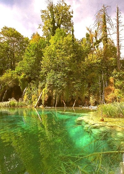 Beautiful emerald waters in Plitvice Lakes National Park, Croatia