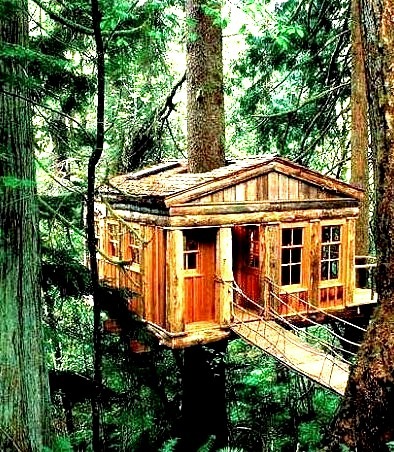 Treehouse, Port Washington, Oregon