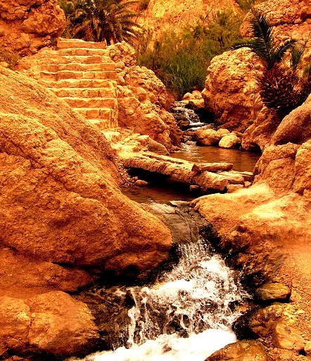Mountain oasis of Chebika in western Tunisia