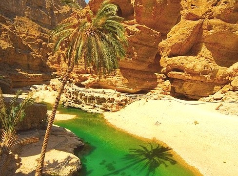 Turqoise pool in Wadi Shab Oasis, Oman