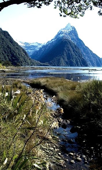 Summer day in Milford Sound, New Zealand