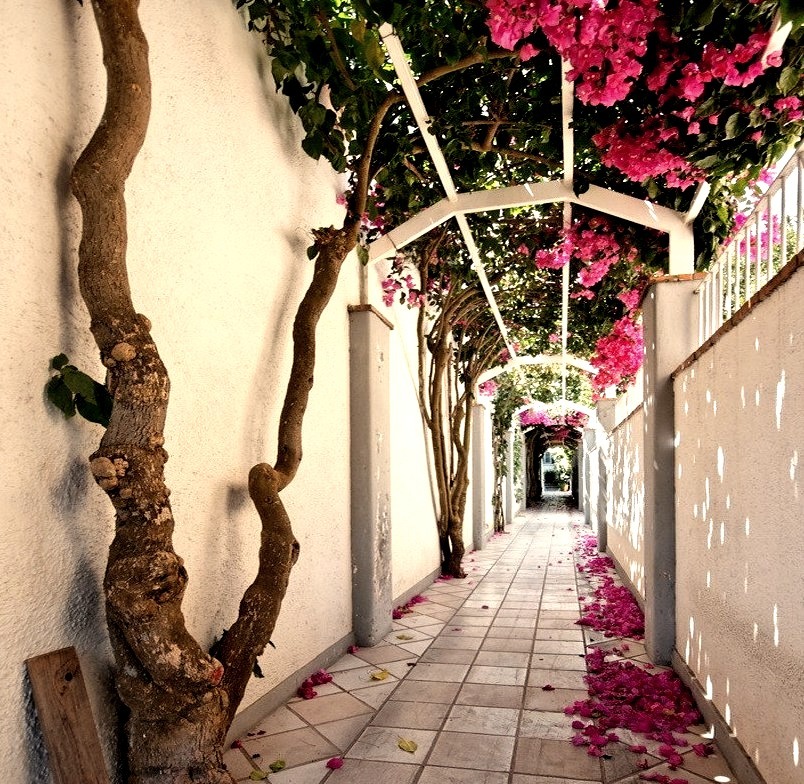 Picturesque alley in Capri Island, Campania, Italy