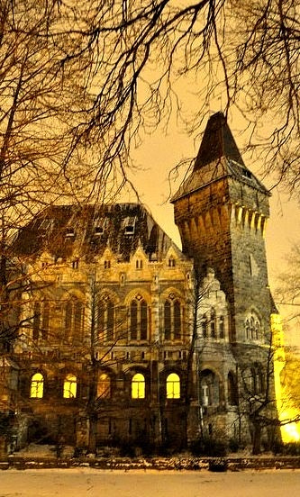 Winter nights at the castle, Budapest / Hungary